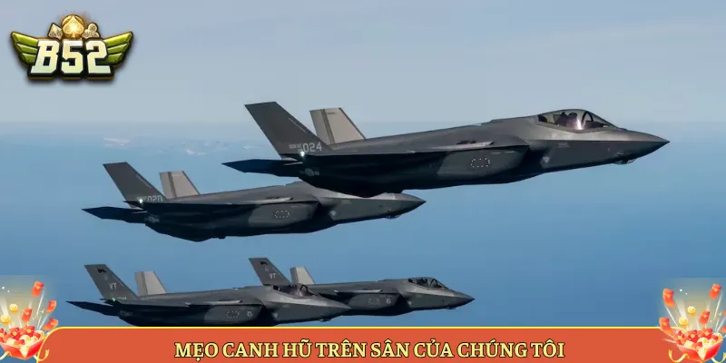 Mẹo Canh Hũ Trên Sân Của Chúng Tôi