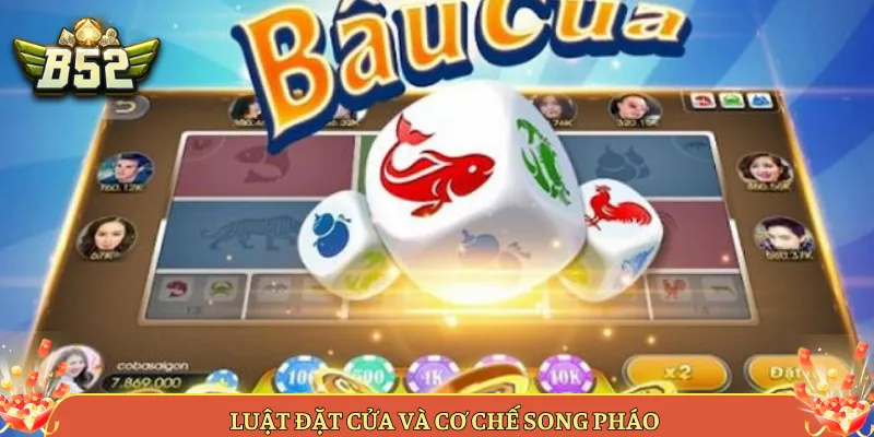 Luật Đặt Cửa Và Cơ Chế Song Pháo