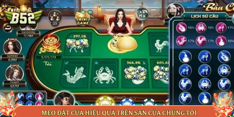 Mẹo Đặt Cửa Hiệu Quả Trên Sân Của Chúng Tôi