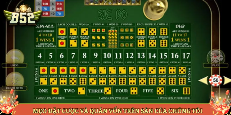 Mẹo Đặt Cược Và Quản Vốn Trên Sân Của Chúng Tôi